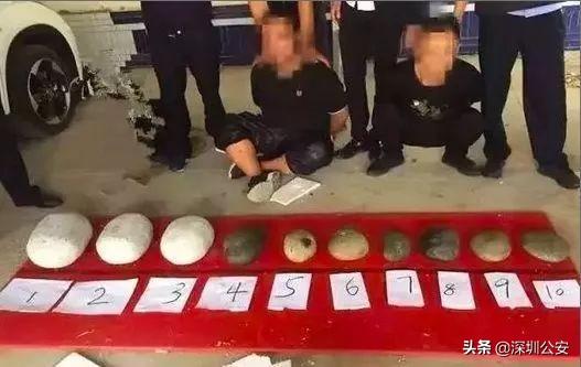 最新警察鞋，全面解析与观点阐述