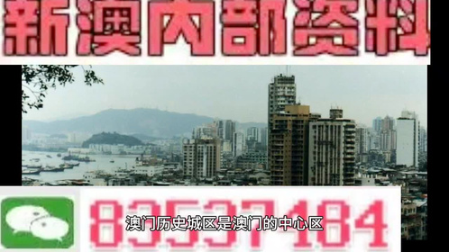澳门正版资料免费精准,经济学_VR版28.359
