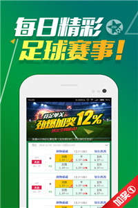 2024澳门天天开好彩大全正版,灵活性执行方案_酷炫版29.878