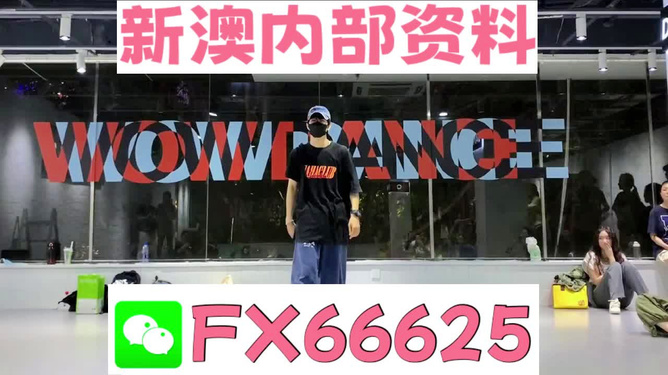 新澳门精准资料大全管家婆料,深入探讨方案策略_远光版22.384