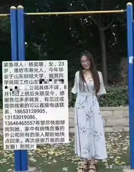 最新工作招聘，时代脉搏与机遇交响的交响点