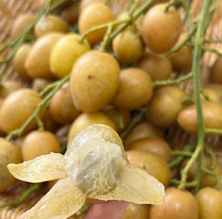 园林绿化 第276页