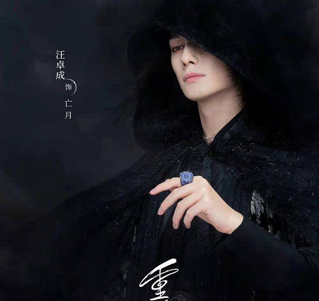 重紫演员，影视界的耀眼明星