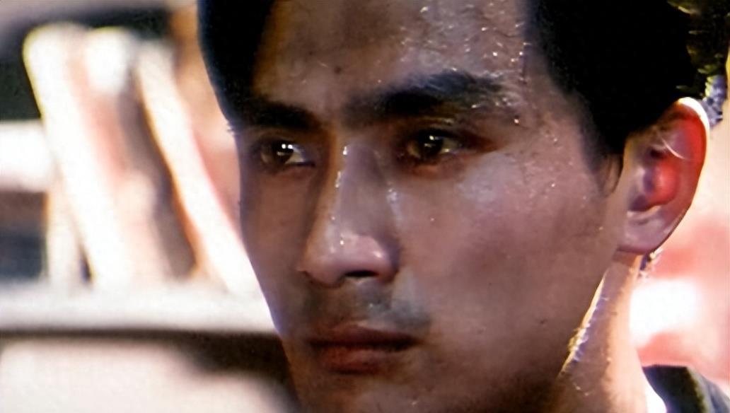 杨晓丹，演艺之路的璀璨之星