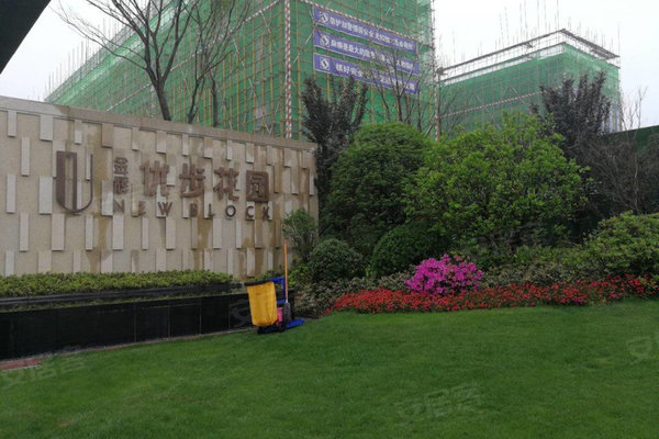 优步花园最新动态及进展🏡🌿