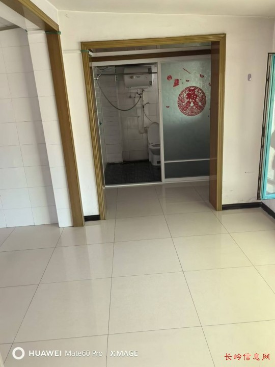 东光租房最新动态，探寻最佳租赁选择的关键要素解析