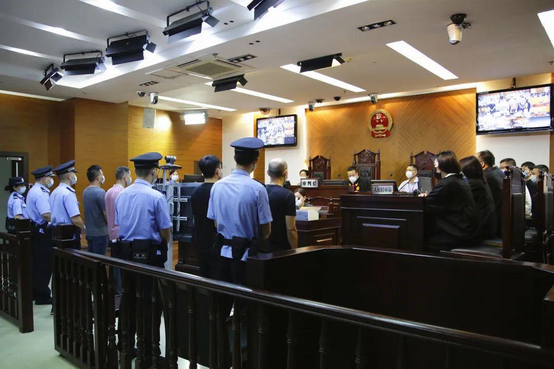 厦门最新疫情解读，动态、要点及科普知识概述